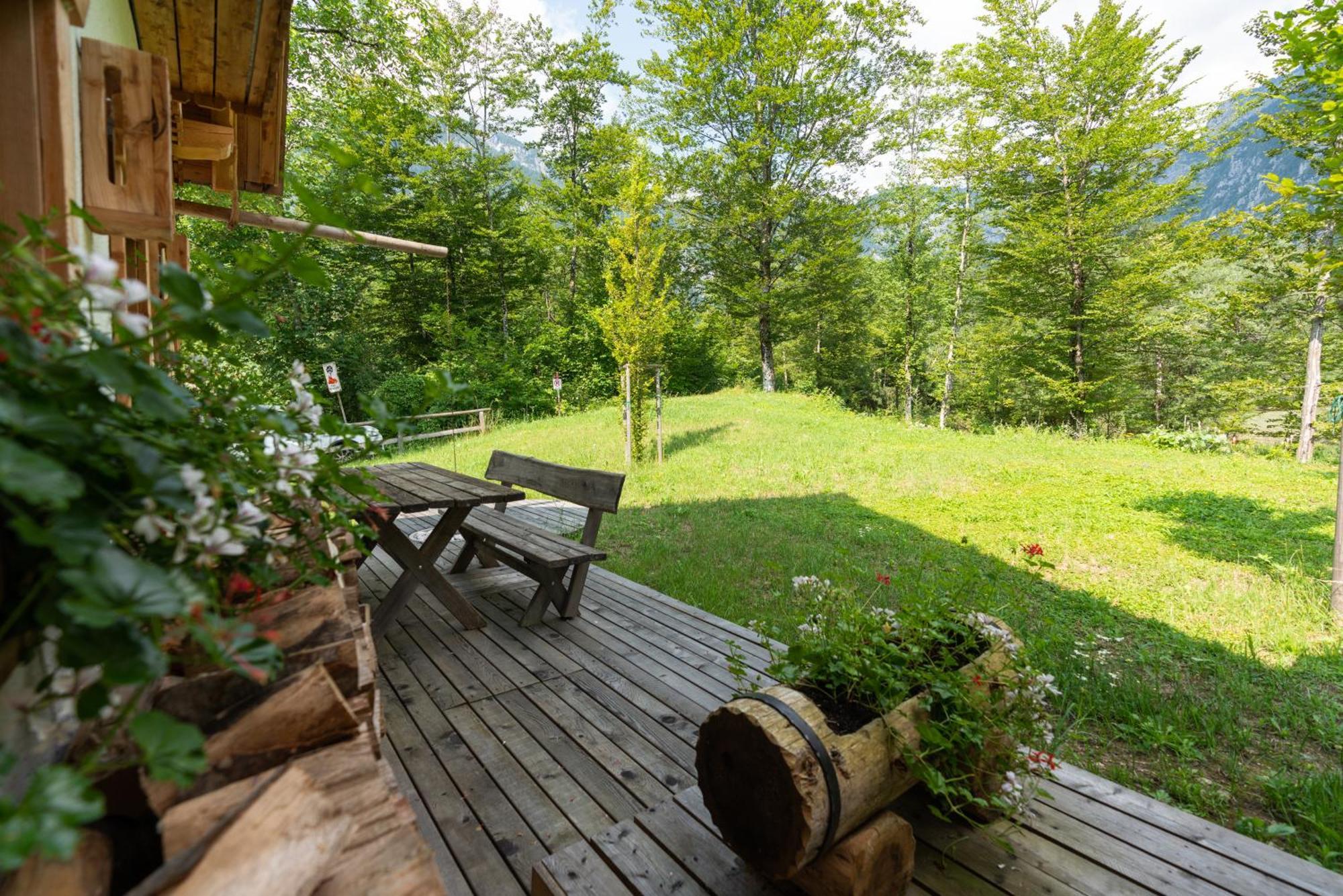 Alpik Chalets - Bohinj Dış mekan fotoğraf